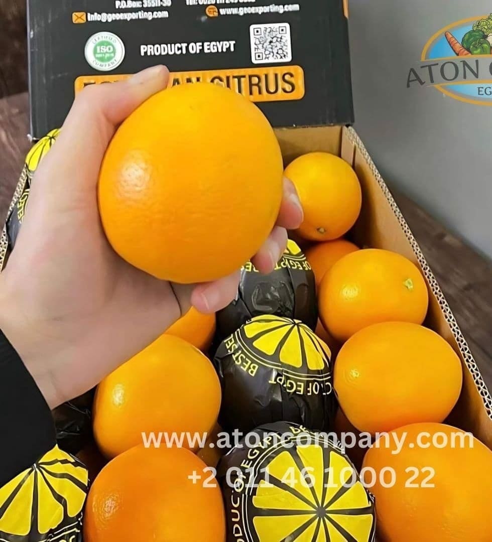 Aton Green Egypt Fresh Fruits & Vegetables